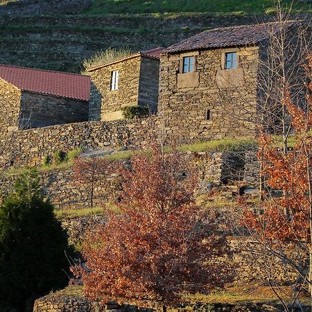 Cardenha Do Douro Villa Mesão Frio Kamer foto