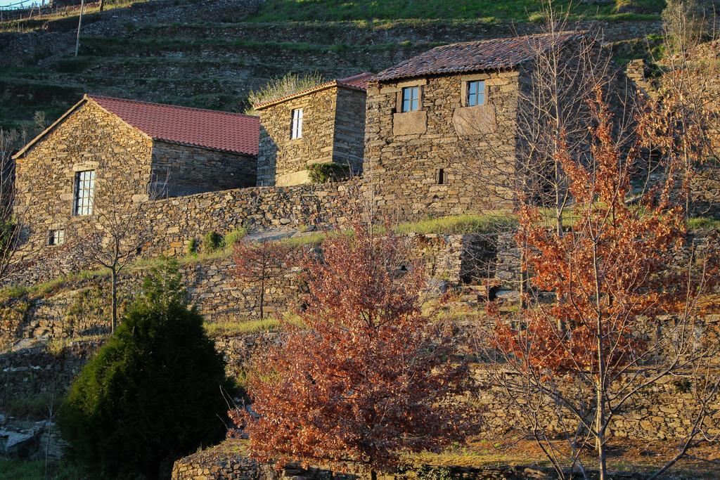 Cardenha Do Douro Villa Mesão Frio Kamer foto